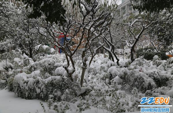 雪天里，郑州回中筑起安全防护墙，情暖师生