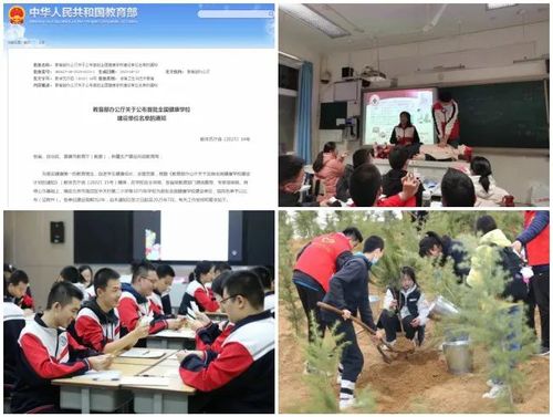 03郑州市回民高级中学获教育部表彰，被评为“首批全国健康学校建设单位”